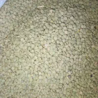 حبوبات|خوردنی و آشامیدنی|کوهین, |دیوار