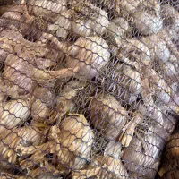 سیر خشک مغان