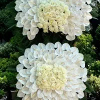 تاج گل مراسم های ختمی و جشن