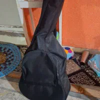 کیف گیتار