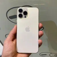 iPhone 13pro Max