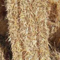 پرس کاه شالی