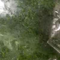 سبزی آش و قورمه و کوکو و اسفناج  تازه تازه