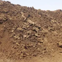 کودگاوی|خدمات باغبانی و درختکاری|نجفآباد, جوزدان|دیوار