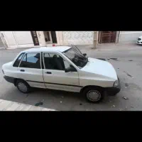 فروش کلاغ رنگ شده