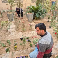 باغبانی سم پاشی هرسکاری کوددهی بامهر فاکتور شرکت