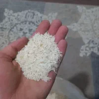 برنج طارم هاشمی