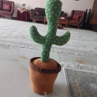 کاکتوس