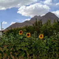 ویلا-باغ-خوش-جا-فریدونشهر-سند-تک-برگ