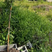 فروش-زمین-کاربری-مسکونی