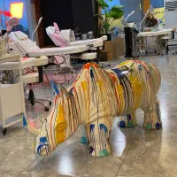 اکسسوری لوکس