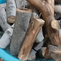 چوب طبیعی نشیمن پرنده