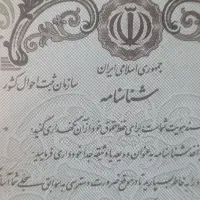 پیدا شده بنام خیاط زاده