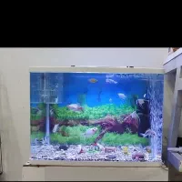 آکواریم به همراه لوازم
