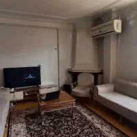 ۸۵ متر/سمیه گلسار/خ ۱۲۲/پارک اختصاصی|اجارهٔ آپارتمان|رشت, کاکتوس|دیوار