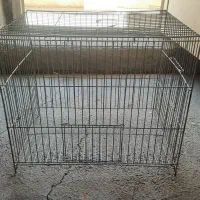 قفس پرنده قناری