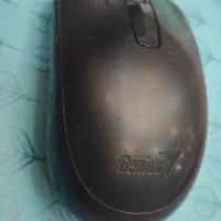موس جنیوس