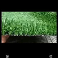 چمن مصنوعی|خدمات باغبانی و درختکاری|تربت‌حیدریه, |دیوار