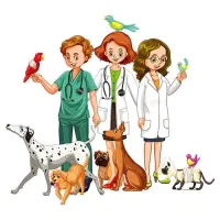 کلینیک دامپزشکی سیار