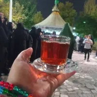 تور مشهد