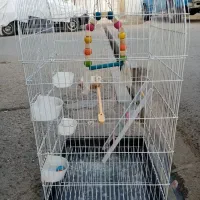 قفس پرنده