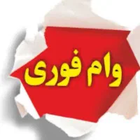 وا فوری بدون ضامن