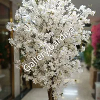 فروش انواع درخچه های شکوفه