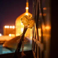 تور ریلی مشهد پیش فروش