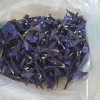 گل گاوزبان
