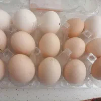 خوردنی