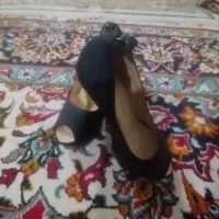 کفش مجلسی