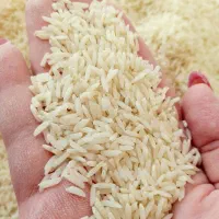 برنج هاشمی  گیلان تالش