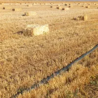 کولش جویک خاور