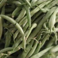 لوبیا سبز