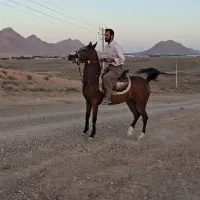 مادیون فروشی