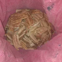 نان خشک مناسب دام