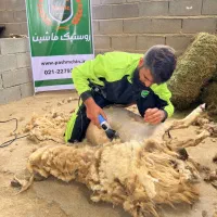 پشم چین برقی ، قیچی و دوکارد پشم چینی مهمت ترک