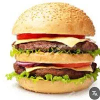 فرکار آقا یا خانم ساندویچی
