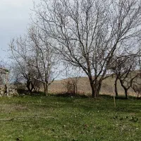 اجاره خانه مسکونی