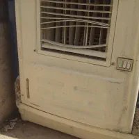 کولرابی