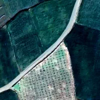 فروش-زمین-کشاورزی