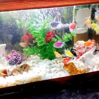 آکواریوم برای فروش