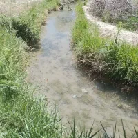 زمین باغی کشاورزی خوانسار