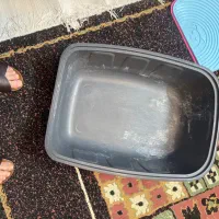 ظرف خاک گربه