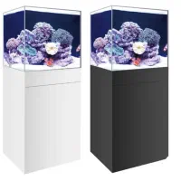 آکواریوم ریملس سفارشی با اقساط ۶ ماهه