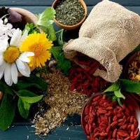استخدام و آموزش در حیطه ی طب سنتی ودرآمد