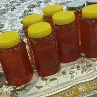 عسل/کشاورزی حسن رحمانی