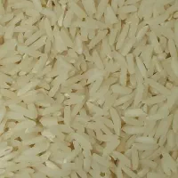 برنج هاشمی و علی کاظمی اصل از خود کشاورز