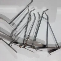 رگال سیخی و رگال S