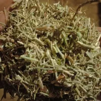 خار فروشی|لوازم جانبی حیوانات|شامکان, |دیوار